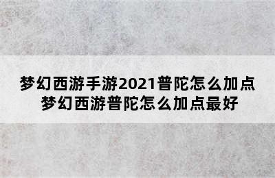 梦幻西游手游2021普陀怎么加点 梦幻西游普陀怎么加点最好